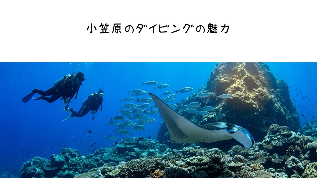 小笠原のダイビングの魅力